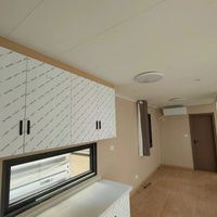 Conteneurs modulaires certifiés CE pour la nuitée, maisons conteneurs Apple Cabin, maisons préfabriquées pour hôtels et bureaux
