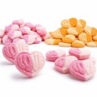 Groothandel Zure Zweedse Snoepjes Hartvormig Tropisch Fruit Aardbei Vanille Vegan Halal US EU Conform Bulk Leverancier