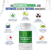 OEM ODM, capsules thermogéniques pour brûleurs de graisse avec feuille de thé vert, extrait de Garcinia Cambogia, capsules amincissantes pour le métabolisme ACV