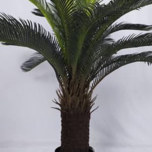 Planta de <span class=keywords><strong>agave</strong></span> con pinchos artificiales Plantas de <span class=keywords><strong>agave</strong></span> de imitación de 48 "Planta de suelo pequeña para interiores Perfecta para la decoración interior de la oficina en casa - Product Image 4