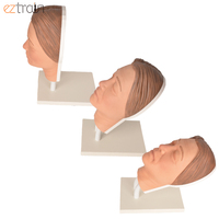 Cabeza de maniquí asiático Maniquí de inyección facial Cabeza de Maniquí de silicona Simulador de inyección Modelo DE CARA femenina para uso de entrenamiento