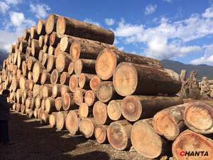 Plaques de <span class=keywords><strong>placage</strong></span> de <span class=keywords><strong>bois</strong></span> <span class=keywords><strong>Zebrano</strong></span> Recon Veneer découpées rotativement, 4 pieds x 8 pieds, épaisseur 0,15-1,0 mm - Product Image 3