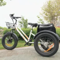 Bicicleta elétrica de pneu gordo 750w, trike 20 "* 4.0 polegadas, entrega de carga, triciclo elétrico, 3 rodas, bicicleta elétrica para desbloqueado