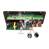 Mini carte d'amplificateur de basse haute puissance 100W Module de caisson de basses numérique de classe D Portable amplificateur numérique Mono canal sans fil