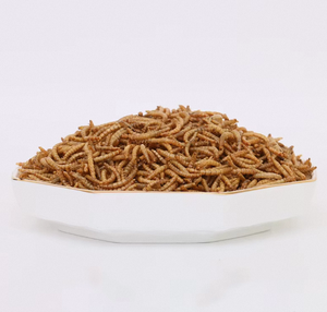 נטרה חלבון גבוה של בעלי חיים מזון דגים מזון מיובשים בשר עוף - Product Image 3