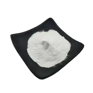クロスポビドンPVPP CAS 9003-39-8食品グレード白色粉末