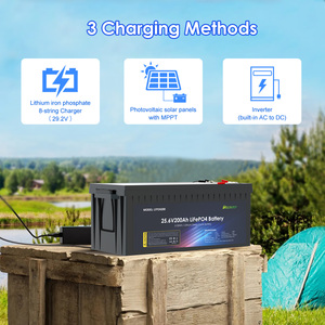 แบตเตอรี่ลิเธียมไอออนพร้อมระบบจัดการแบตเตอรี่อัจฉริยะ (Smart BMS) ขนาด 12V 24V 100AH 150AH 200Ah 300Ah อายุการใช้งาน 6000 รอบ LFP24200 ลิเธียม 2 - Product Image 2