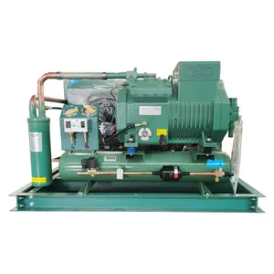 Refrigeration Compressor Condensing Unit Provided Air Used Compressor for Video Technical Support 500 2024