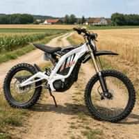 Bon prix 2026 Surron Light Bee Nouveau modèle Surron Light Bee X Moto tout-terrain électrique