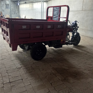 Nuevo Triciclo a Gasolina de 1000W para Exportación 2024, Popular Vehículo Motorizado de 5 Ruedas para Pasajeros, Adultos y Mascotas, Certificado por DOT - Product Image 4