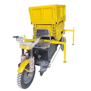 Factory direct sale civil engineering mining Electric dump tricycles mini hydraulic lift electric tricycle for cargo