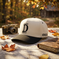 Op maat gemaakte logo CMYK 3D geborduurde baseball caps - 100% katoenen poplin stof hand geborduurde Argyle fruit verstelbare groothandel
