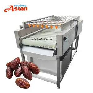 Maatwerk Aardappel Borstel Peeling Machine Avocado Zachte Borstel Reiniger Machine Schelp Reinigingsmachine