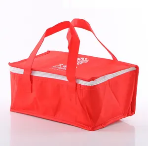 Portablcooler Bags Large Insulated Lunch Pp Insulation Cartoon Food Carton Insulated Packaging Square Thermal cooler bag