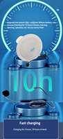 Microphone sans fil portable avec haut-parleur, amplificateur intégré, installation au plafond, utilisé dans les salles de classe/conférences/mosquées