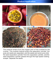 Industriële fruit- en groentepureemachine voor passievrucht, mango, pitaya; voedselverwerkingsapparatuur voor vermalen, sap maken en pulperen.
