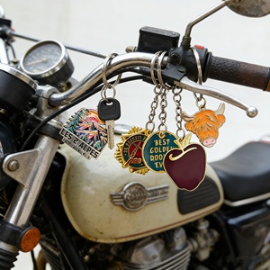 Porte-clés personnalisés en alliage de zinc, style anime vintage, étanches et résistants, avec logo personnalisable en gros pour voiture - Product Image 6