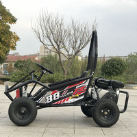 Nuevos y Potentes Go Karts para Niños, Carritos Infantiles, Autos Deportivos de Carreras