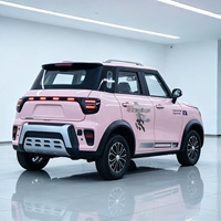 Nouveau véhicule de transport domestique électrique SMT à quatre roues, SUV rose avec phares LED, design élégant, fabriqué en Chine