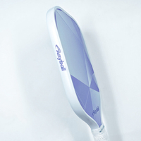 Vente directe d'usine B008 Anyball Raquette de pickleball en cristal violet 14 mm en fibre de verre pressée à froid avec structure en nid d'abeille pour l'entraînement professionnel
