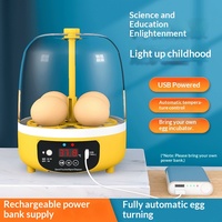 Incubateur d'œufs de poule entièrement automatique intelligent mini-incubateur domestique compact pour enfants modèle USB 4 œufs carré