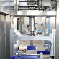 Machine de remplissage, de bouchage et d'emballage entièrement automatique pour bouteilles d'eau pure de 5 L avec commande PLC