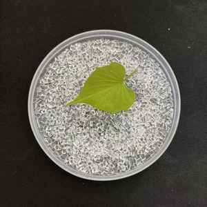 Granulés de résine vierge PMMA de qualité médicale et alimentaire pour le moulage par extrusion - Product Image 4