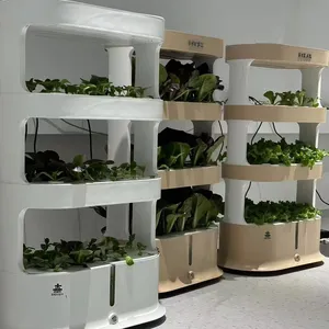 Kota pertanian produktivitas tinggi tanaman hidroponik kotak pertanian sayuran organik rapat Menara