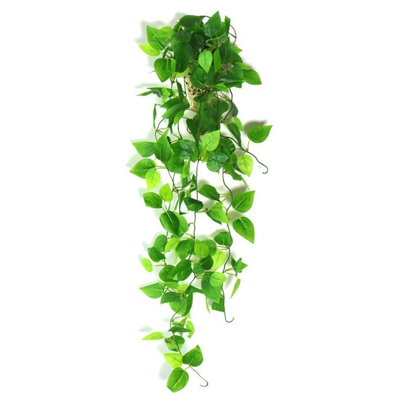 Suspension murale à cinq branches - feuilles de pothos