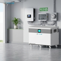 Precio de Fábrica, Batería de Litio LiFePO4 de 15kWh, 20kWh, 30kWh, 51.2V, 300Ah, 400Ah, 600Ah, 8000 Ciclos, para Almacenamiento de Energía en el Hogar