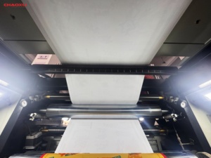 Macchina da Stampa Flessografica Automatica a 4 Colori per Bobine Larghe, Produttore Cinese, Larghezza Massima 960mm Larghezza di Stampa per Film Plastico BOPP PET - Product Image 3