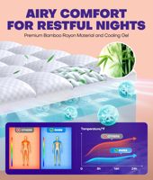Taie d'oreiller double couche Queen Size Orthopédique Refroidissement Gel froid Viscoélastique Mousse à mémoire de forme Surmatelas de lit doux Couvre-matelas