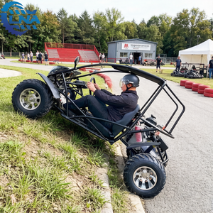 Go Kart LNA de 2 Plazas y 4 Tiempos, 150cc, Fácil de Mantener para Flotas de Alquiler - Product Image 2