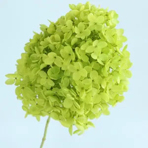 วัสดุ DIY ดอกไฮเดรนเยียอันนาสดชื่นแบบคงสภาพพร้อมกิ่ง - Product Image 5