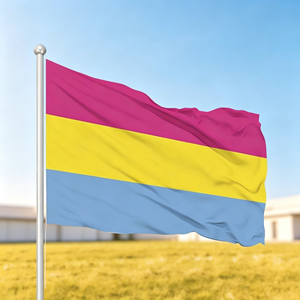 Bandiera Arcobaleno Personalizzata 3*5ft 100% Poliestere, Stampa Digitale, Bandiera LGBT Pride per Parate e Decorazioni Interne ed Esterne - Product Image 1