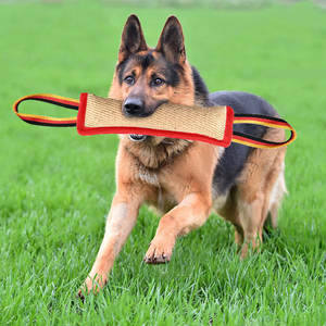 KANGDAER XD141 Bastone da Mordere in Canapa Fine per Addestramento Cani, per la Pulizia dei Denti e Gioco Interattivo - Giocattolo da Mordere per Animali Domestici - Product Image 4