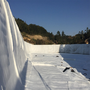 <span class=keywords><strong>HDPE</strong></span> 3D cao polyethylene thoát nước composite mặt đất <span class=keywords><strong>Net</strong></span> thoát nước geonet cho vườn thoát nước - Product Image 5