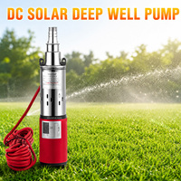 Pompe à eau propre électrique agricole, pompe submersible haute pression pour puits profonds, pompe à vis CC 12V/24V/48V/60V