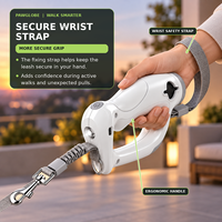 Tali Anjing LED Retractable Grosir, Tali Anjing Retractable Pengisian Daya Tipe-C, Dispenser Kantong Kotoran, Perlengkapan Hewan Peliharaan Label Pribadi