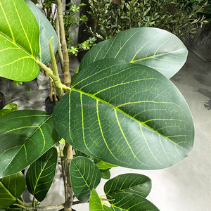 Bán buôn cảm ứng thực tế giả nhân tạo ficus altissima cao su cây vả cây nhân tạo cho cảnh quan trang trí sân vườn - Product Image 4