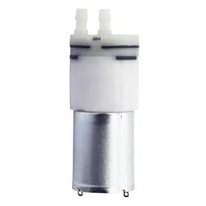 Kleine En Draagbare Luchtpomp Micro-Luchtpomp Aroma Geur 4l 5l 6l Min Water Miniatuurpomp 3V