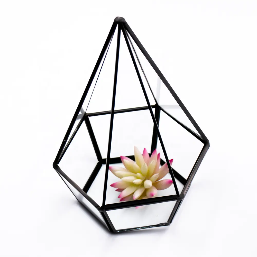 テラリウム水耕ガラス花瓶高品質リバーシブル幾何学