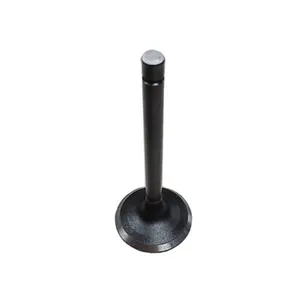 Wholesale Price Factory Directly Sell Car Engine 5L OEM 13711-54030 Intake valve