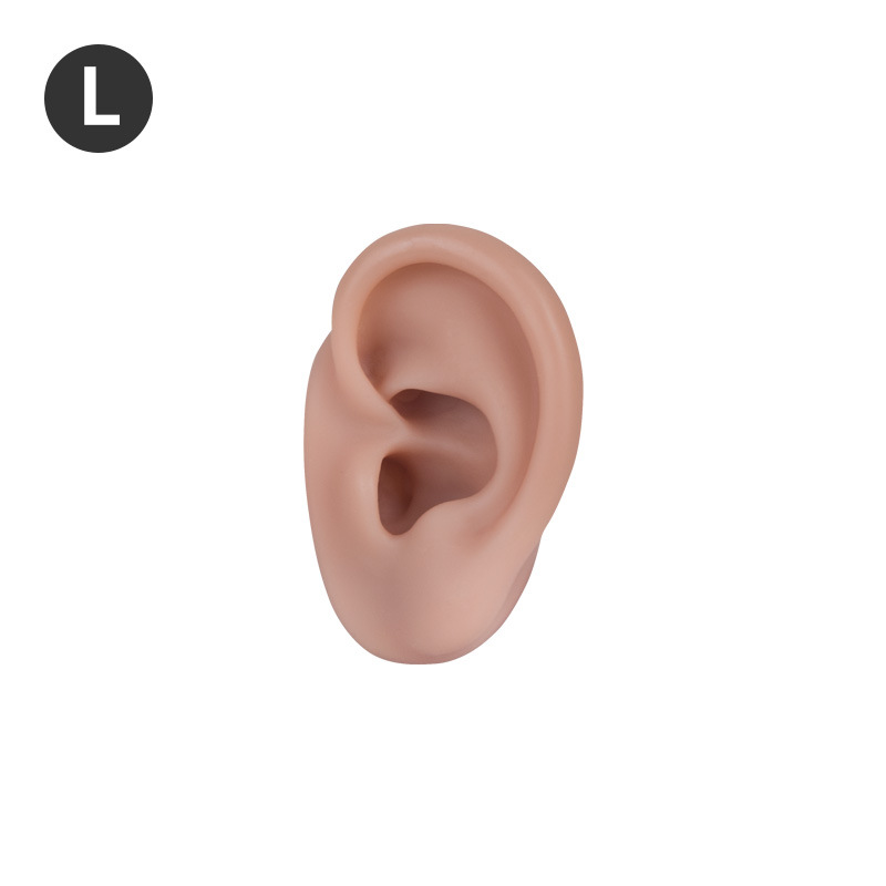 Oreja Izquierda - Tono de Piel Oscuro, Oreja Pequeña