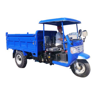 Tricycles Populaires avec Pneu de Rechange, Moteur <span class=keywords><strong>à</strong></span> Cylindrée, <span class=keywords><strong>Moto</strong></span> <span class=keywords><strong>à</strong></span> Trois <span class=keywords><strong>Roues</strong></span>, Tricycle Cargo Motorisé - Product Image 1