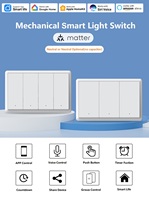 Smart Home Systeem Matter Over WiFi Lichtschakelaar 1/2/3/4-voudig 2-weg Plastic Kanaal Apple Homekit Compatibel geen Nulleider Condensator
