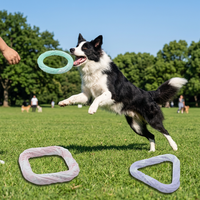 Famipet Fabricant Grossiste Nouveau Jouet à Mâcher pour Animaux de Compagnie en TPR Non Toxique, Design Anneau, Durable, Ensemble de Jouets pour Chiens