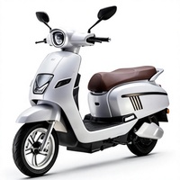 Vélo Électrique Urbain Chinois à Vendre : Moto Électrique 48V 1000W pour Adultes, Production Personnalisée, Approvisionnement en Gros