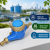 High Precision Multi-Jet Mechanical Water Meter DN15 DN20 DN25 Brass Body Dry/Wet Dial Household Liquid Flow Meter IP68 OEM