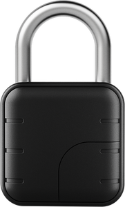 Serratura Intelligente Impermeabile Personalizzata con Logo, Sblocco Digitale Elettronico con Impronta Digitale per Porte in Legno e Vetro, Archiviazione Dati su Scheda di Memoria, SDK - Product Image 2